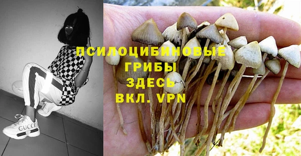 мяу мяу кристалл Бородино