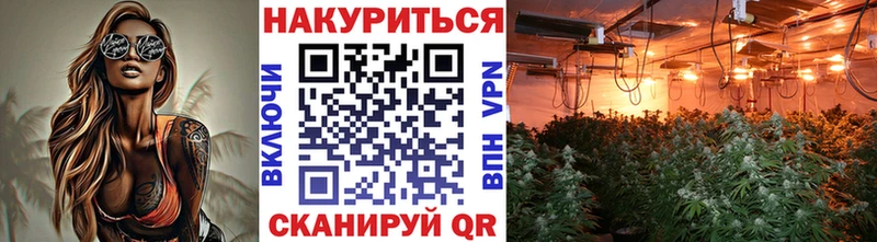 наркота  Махачкала  Конопля THC 21% 